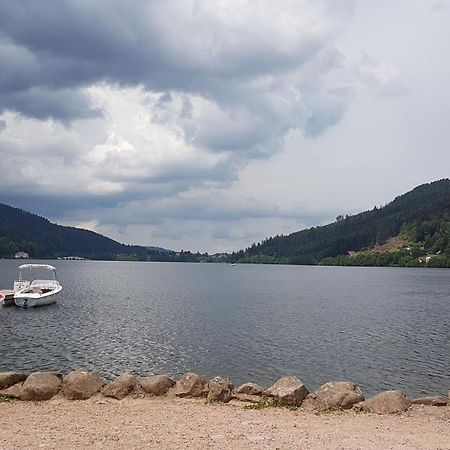 Gerardmer La Villa De Corcieux Exterior photo